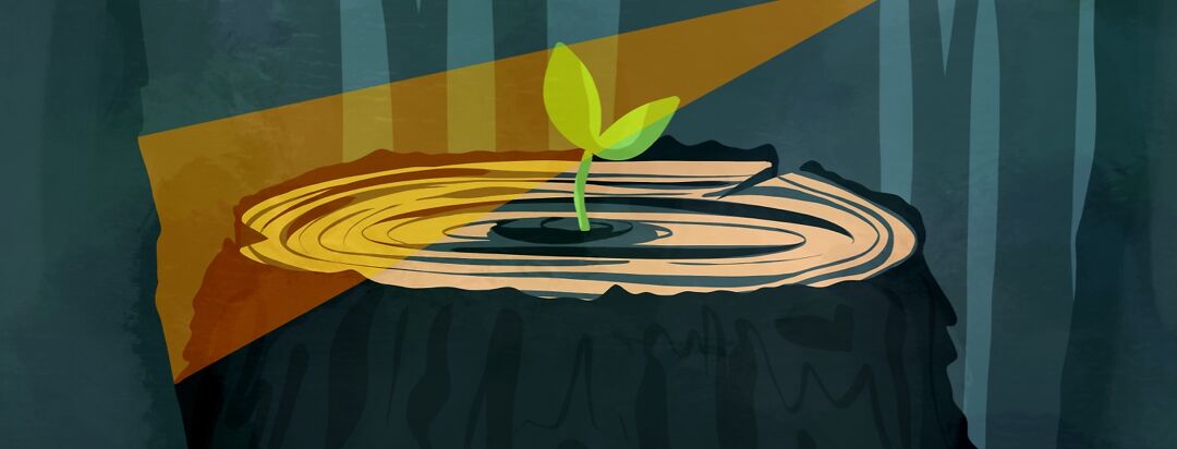 Tough Love Broke Me, But Love Helped Me Heal image